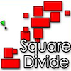 Square Divide